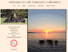 Tablet Screenshot of labtreasure.dk